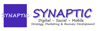 Synaptic: Internet Strategy and e-business development